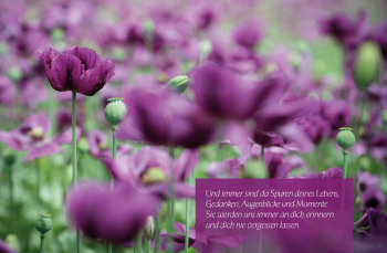 Sujet 14: Mohnblumen violett