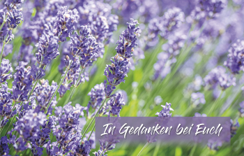 Sujet 06: Lavendel