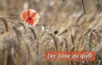 Sujet 03: Mohnblume
