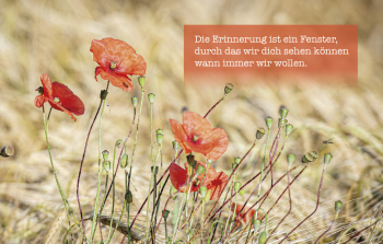 Sujet 02: Mohnblume